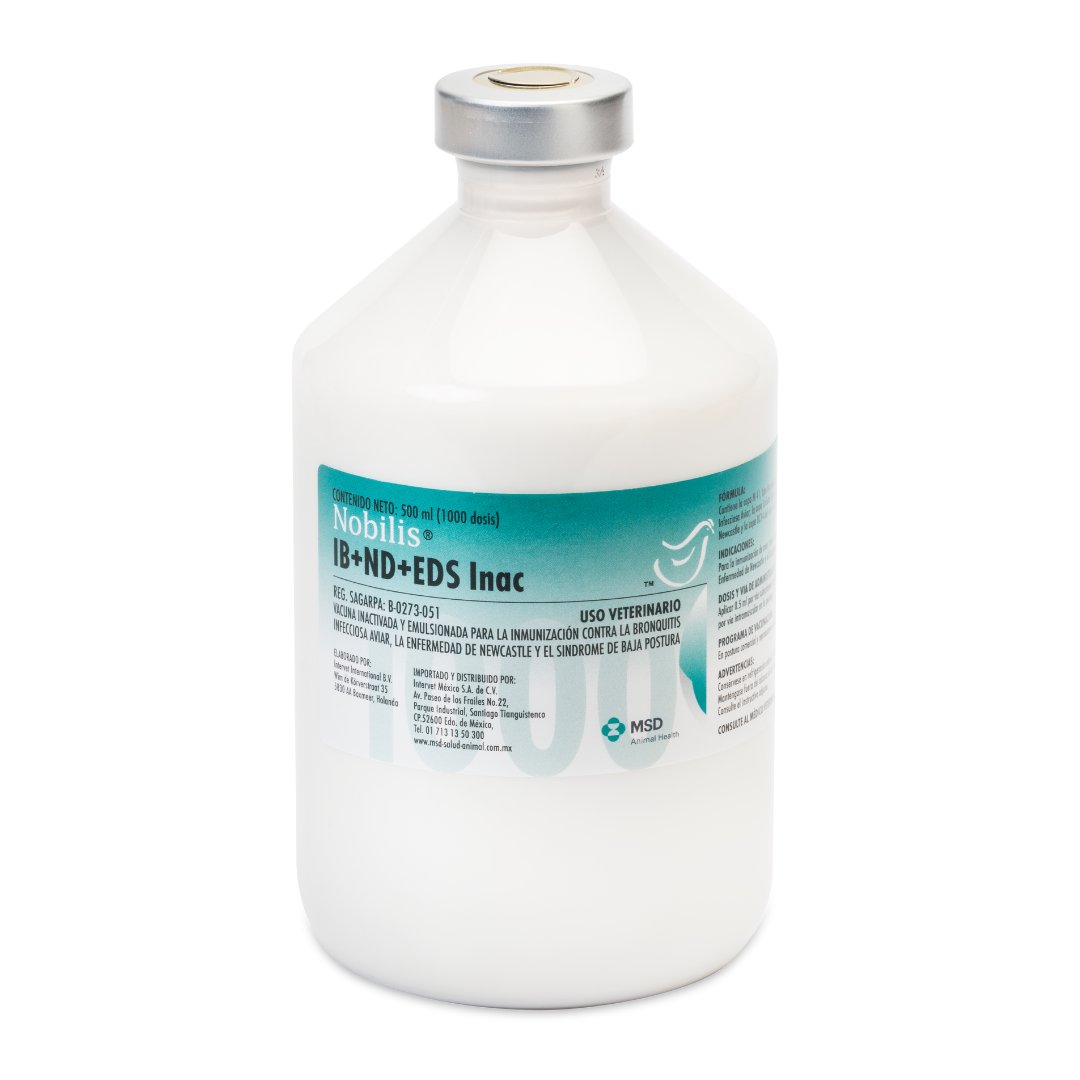 Nobilis IB + ND + EDS Inac