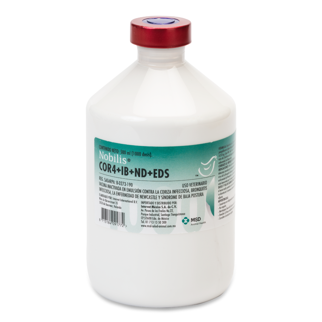 Nobilis cor4 + ib + nd +eds