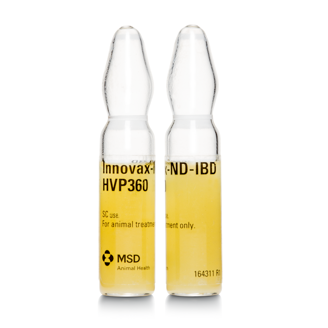 Fusion ND-IBD