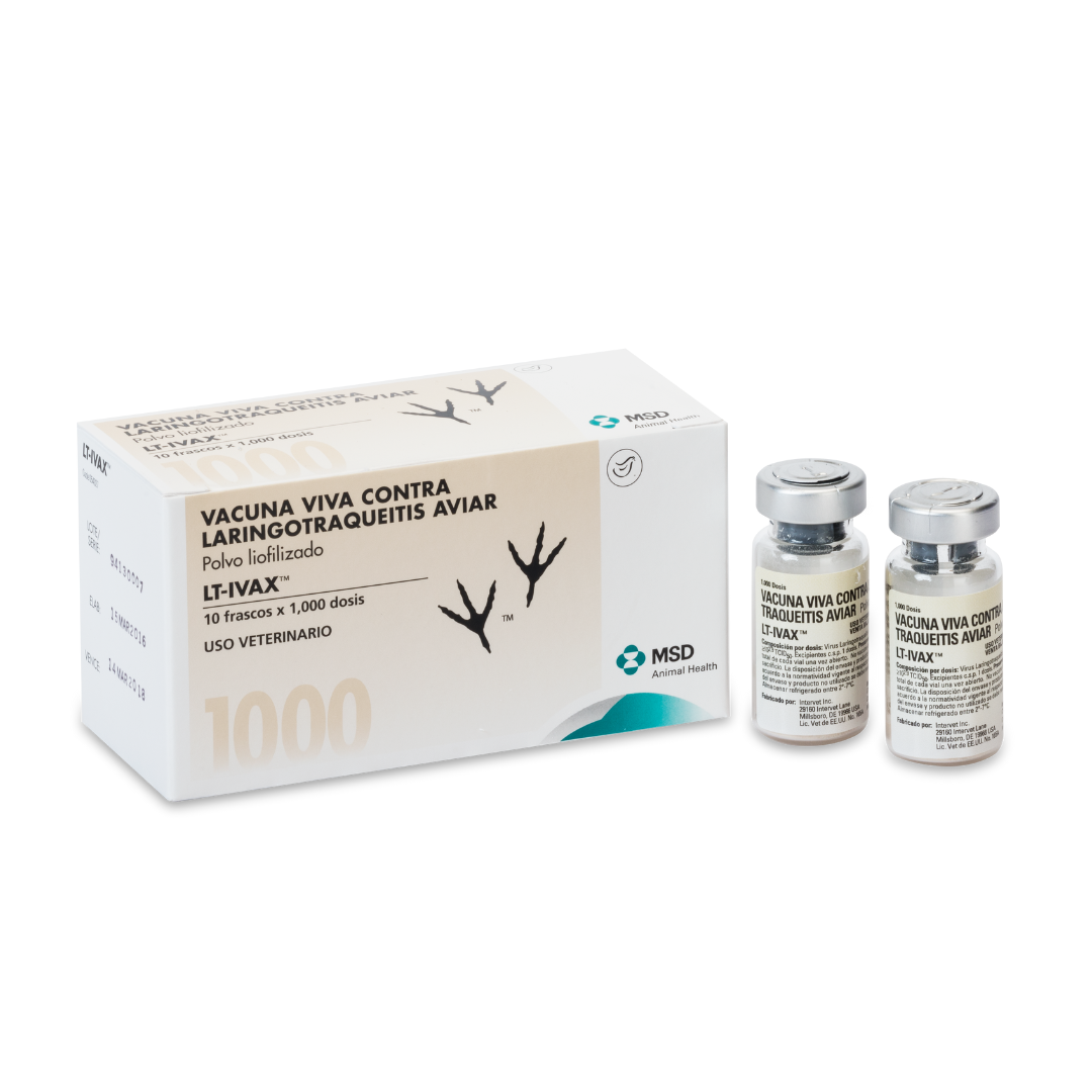 Lt-Ivax